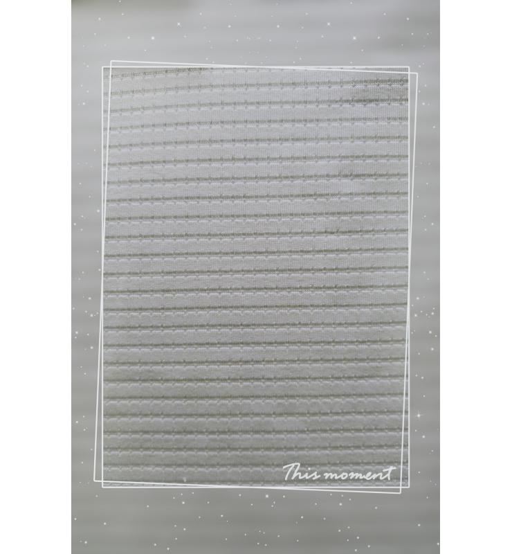 滌氨提花布 DPPS086