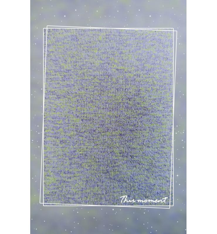 滌氨花灰布 DWPS029-02