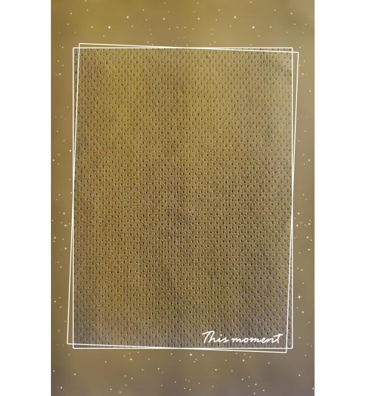 全滌網眼布 SP037