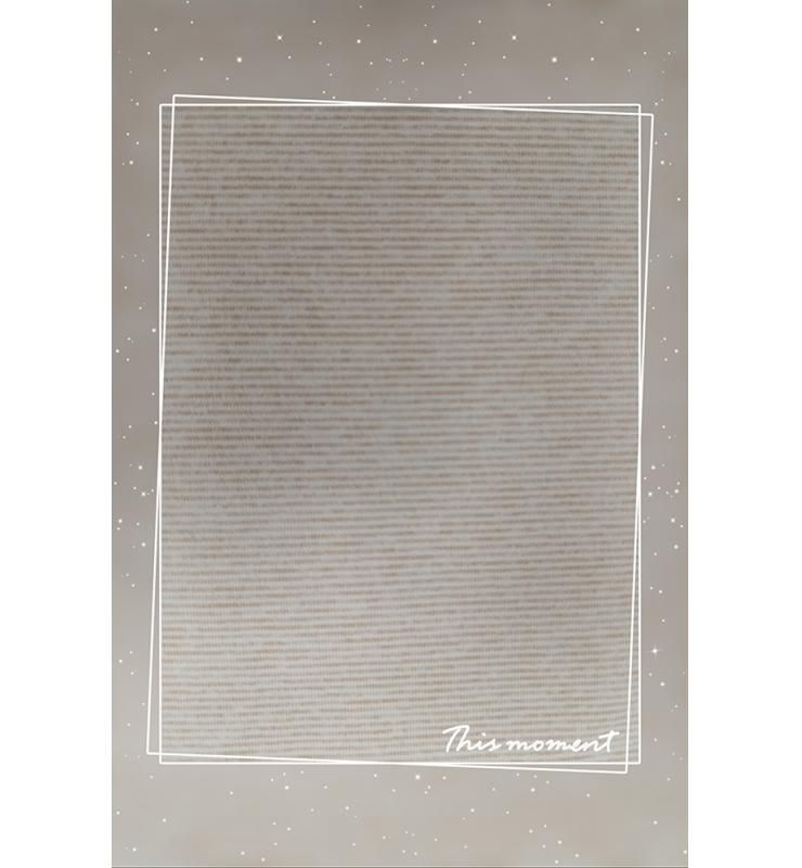 滌氨彩條布磨毛DHPPS22126